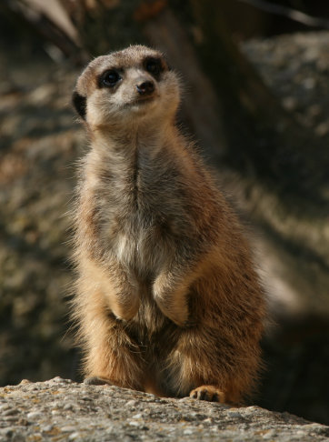 klaus_naturfoto001006.jpg