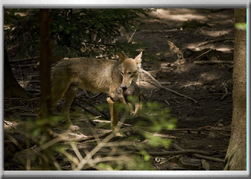 klaus_naturfoto002001.jpg