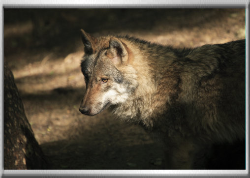 klaus_naturfoto002004.jpg