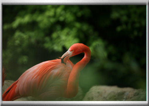 klaus_naturfoto003001.jpg
