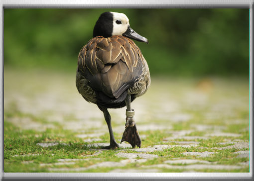 klaus_naturfoto003002.jpg