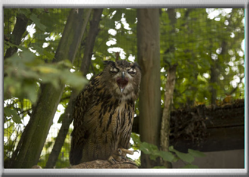 klaus_naturfoto003003.jpg