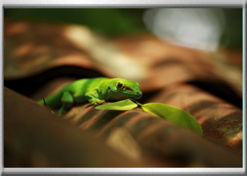 klaus_naturfoto004001.jpg