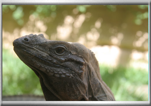 klaus_naturfoto004002.jpg