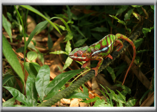 klaus_naturfoto004003.jpg