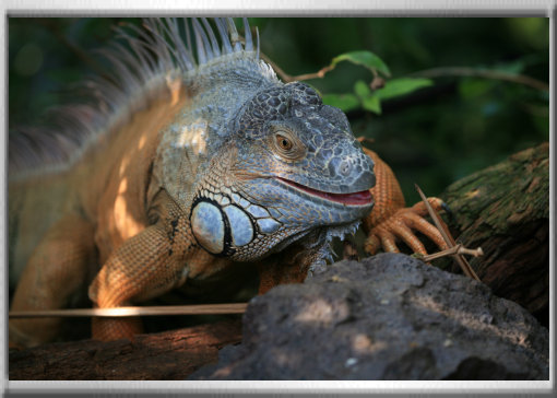 klaus_naturfoto004004.jpg