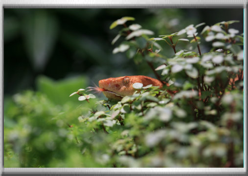 klaus_naturfoto005004.jpg
