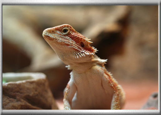 klaus_naturfoto006003.jpg