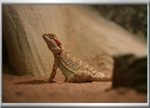 klaus_naturfoto006004.jpg
