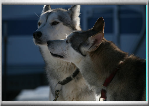 klaus_naturfoto007001.jpg
