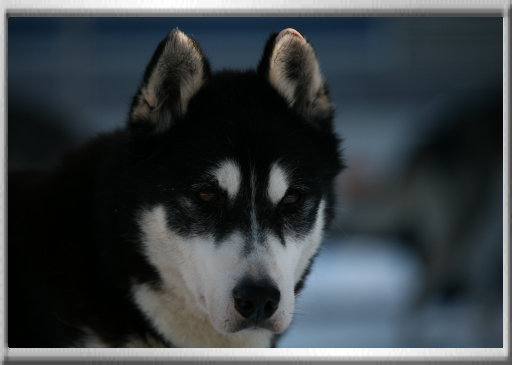 klaus_naturfoto007002.jpg