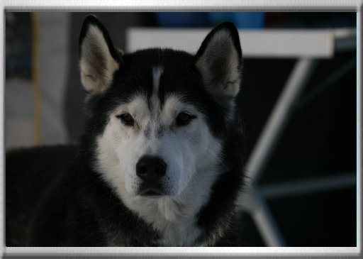 klaus_naturfoto007003.jpg