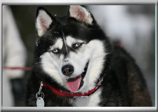 klaus_naturfoto007004.jpg